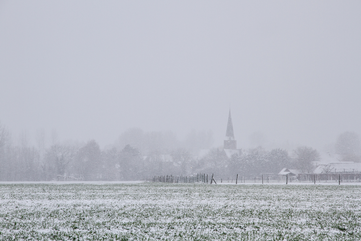 02-2304-Baaigem in de sneeuw.jpg